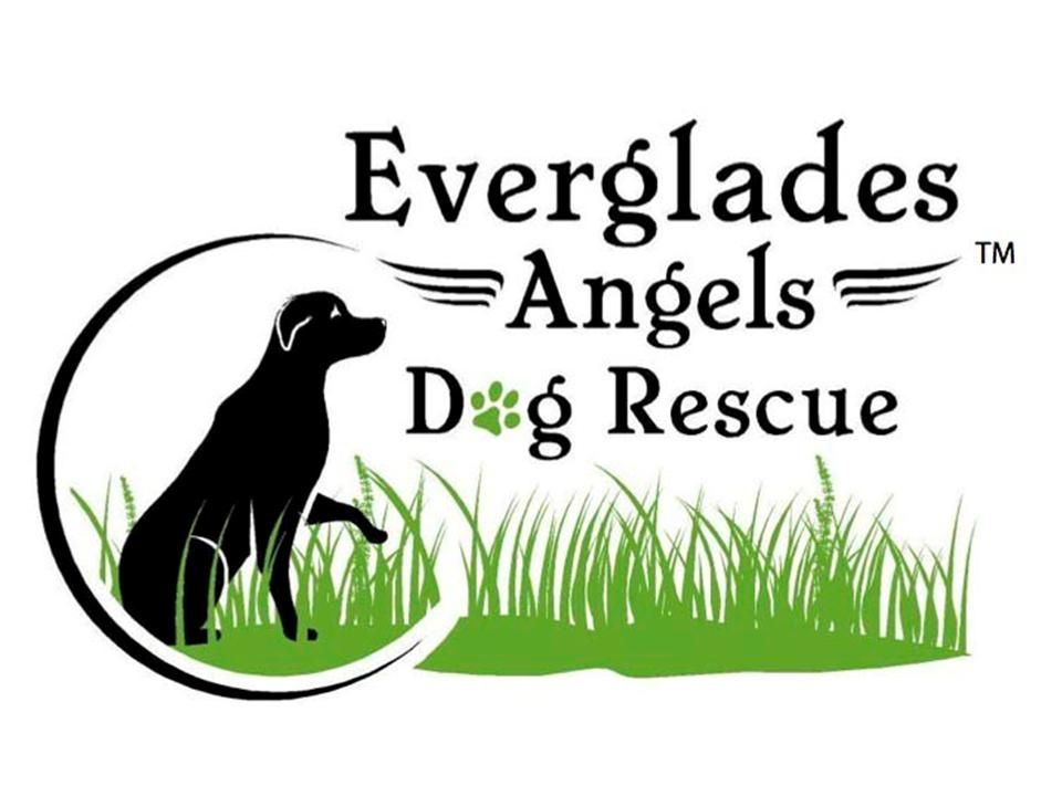 Everglades Angels Dog Rescue