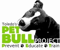 Toledo's Pet Bull Project