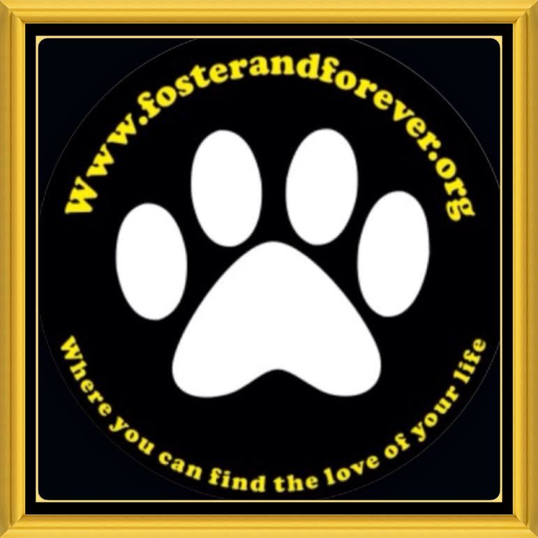 Foster and Forever Pet Rescue