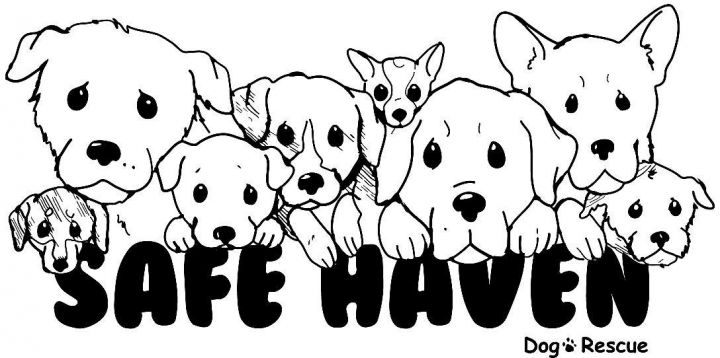 Haven pet hot sale rescue