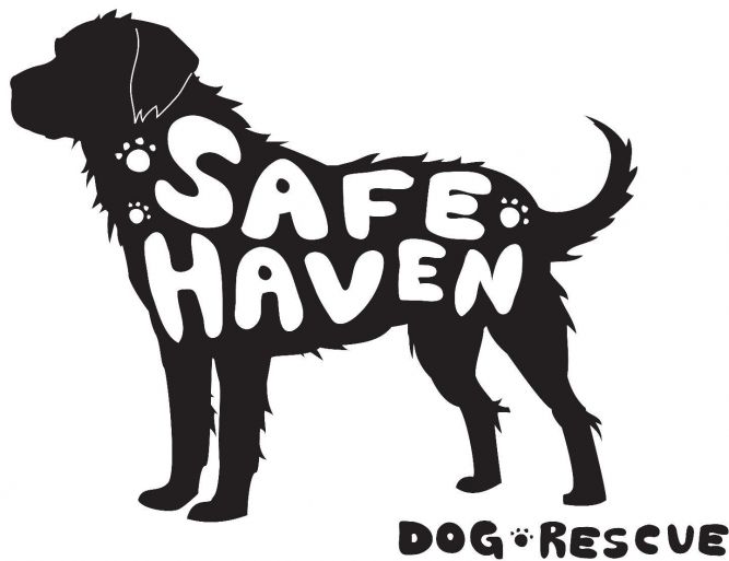 are rescue dogs safe