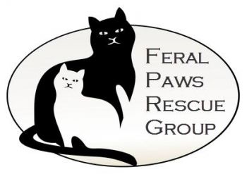 Feral paws sales rescue group