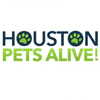 houston pets alive cats