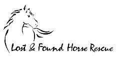 Lost and Found Horse Rescue Foundation