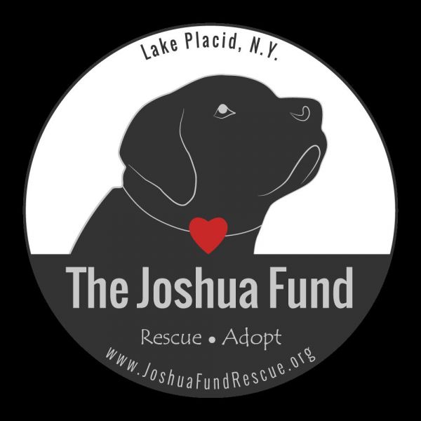 The Joshua Fund Dog Rescue