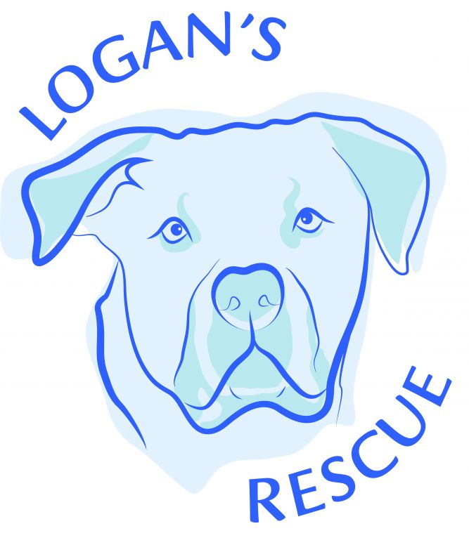 Logan's Rescue