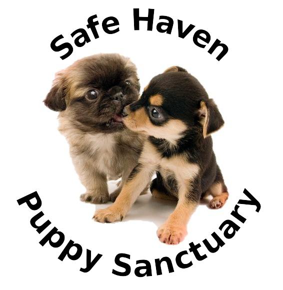 Adoption at Safe Haven Puppy Sanctuary 