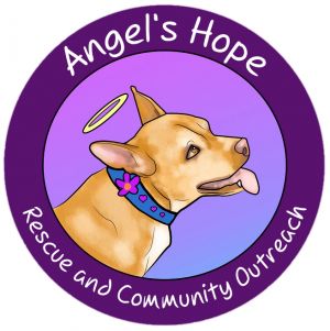 Angel's Hope