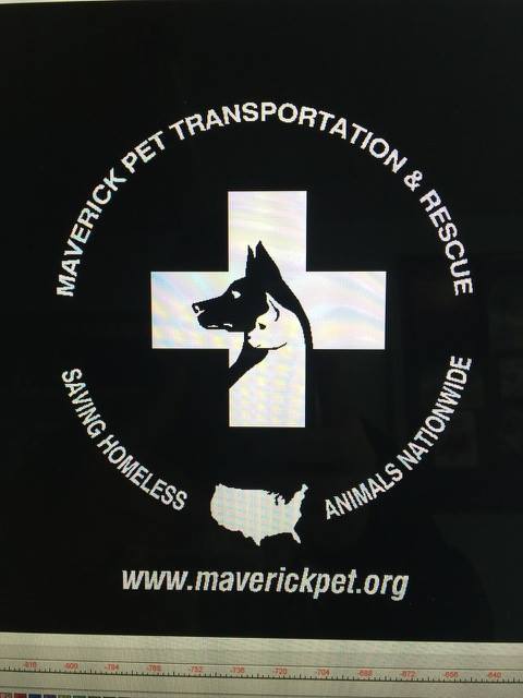 Maverick 2024 animal clinic