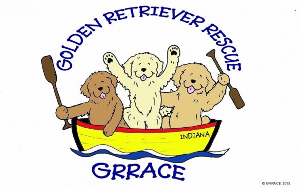 GRRACE-Golden Retriever Rescue and Community Education