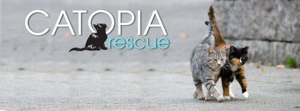 Catopia Cat Rescue