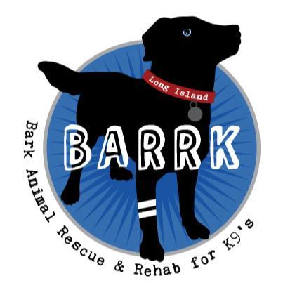 Barrk cheap dog rescue