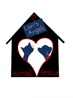 Pets for Adoption at Lori's Angels Animal Rescue, in Los Angeles, CA |  Petfinder