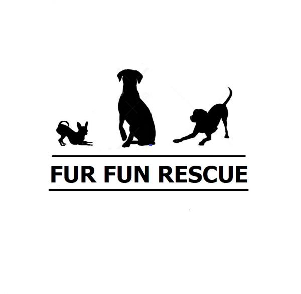 Fur Fun Rescue