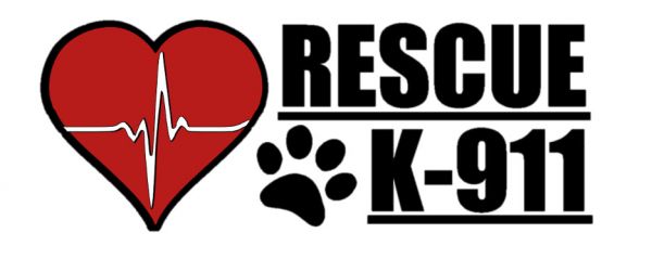 Rescue K-911