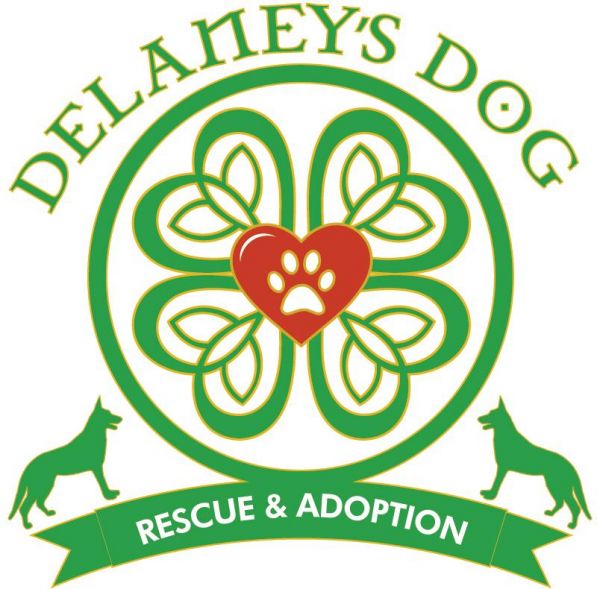 Delaney's Dog