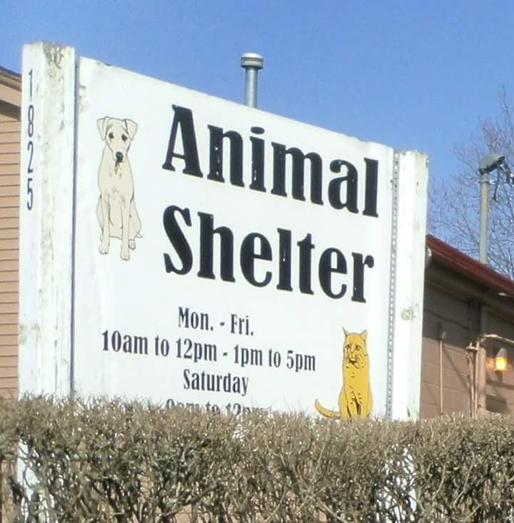 Animal Welfare League