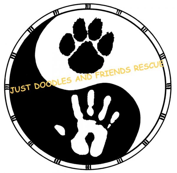 Just Doodles and Friends Rescue