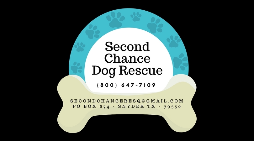 Second Chance Dog Rescue