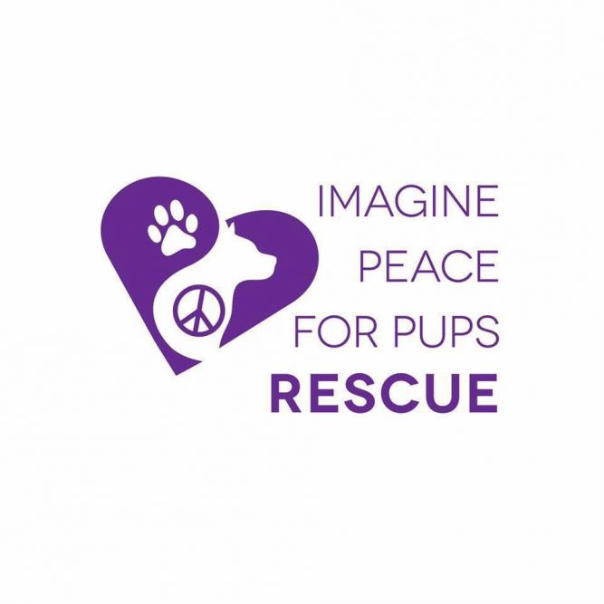 Imagine Peace for Pups