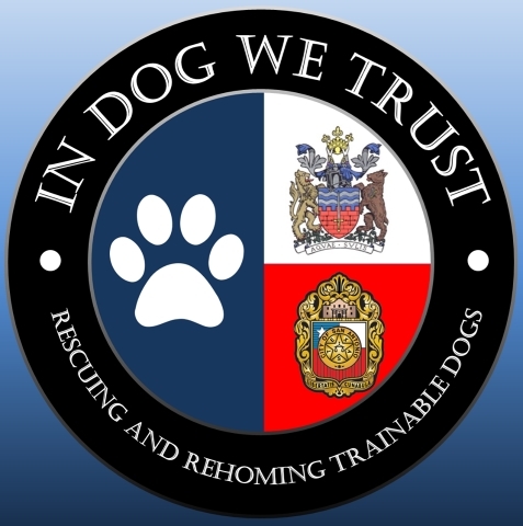 In Dog We Trust