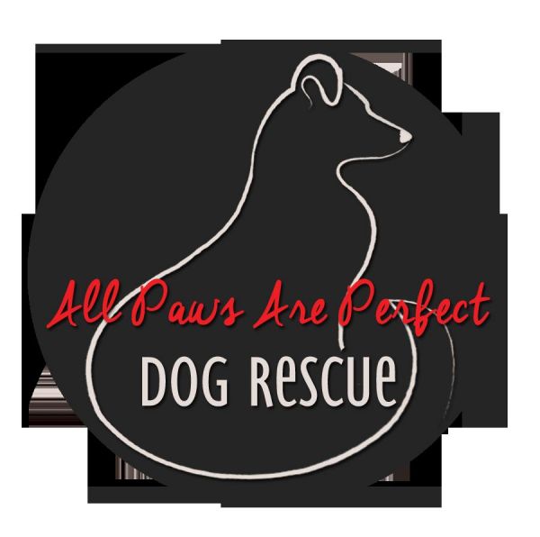 All Paws Are Perfect Rescue