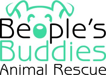 Our PAWsome logo