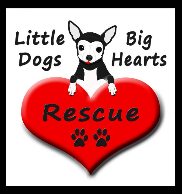 Little Dogs Big Hearts Rescue