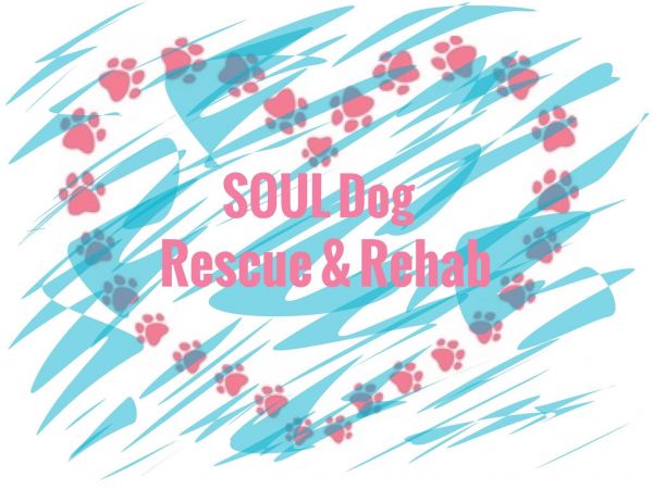 SOUL Dog Rescue and Rehab