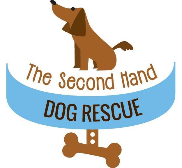 Pets For Adoption At The Second Hand Dog Rescue In Rochester Ny Petfinder