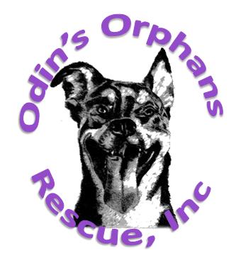 Odin's Orphan Rescue, Inc