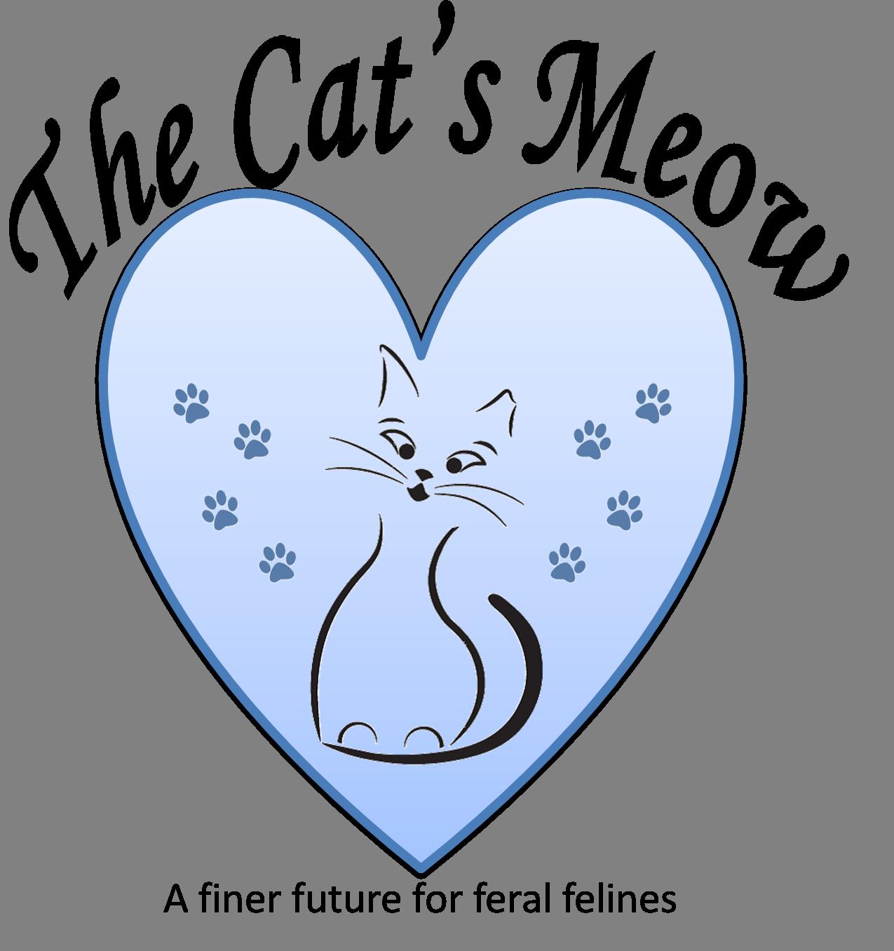 The Cat's Meow SNAP