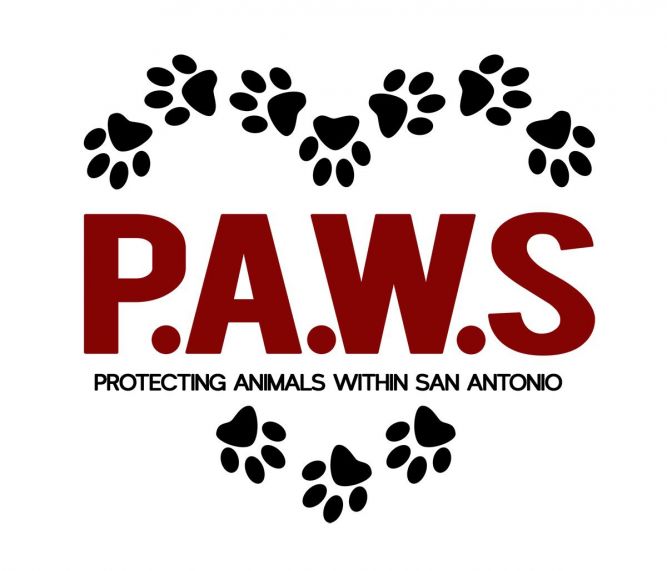 Protecting Animals Within San Antonio (P.A.W.S foster based rescue)