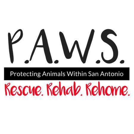 Protecting Animals Within San Antonio (P.A.W.S foster based rescue)