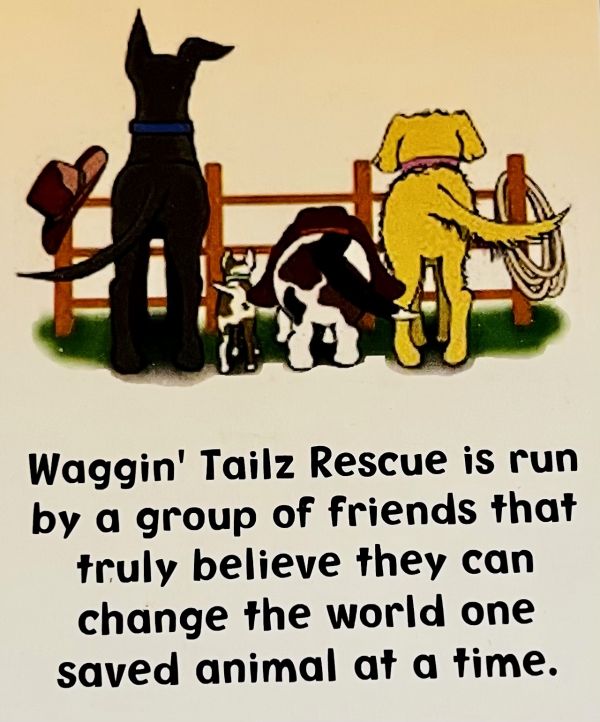Waggin' Tailz Rescue and Adoptions