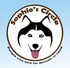 sophie's circle husky rescue