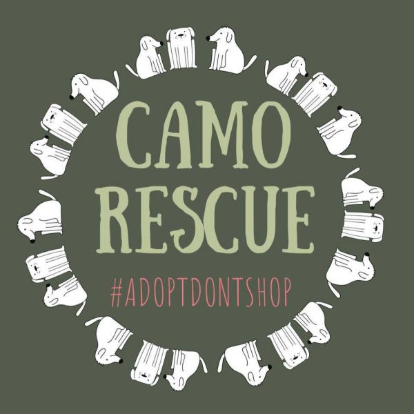 CAMO - Rescue