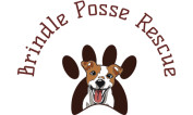 Brindle Posse Rescue