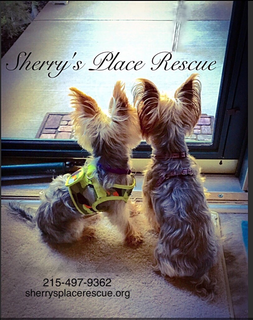Sherry's Place Rescue