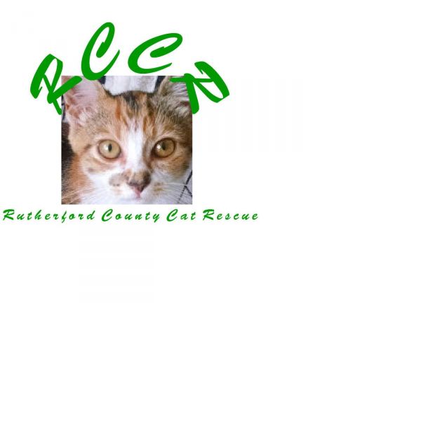 Rutherford County Cat Rescue