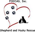 FOCCAS, Inc.