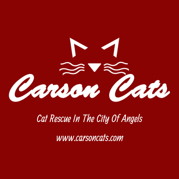 Carson Cats Rescue