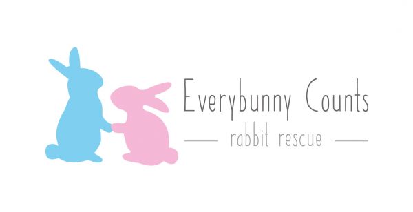 Everybunny Counts