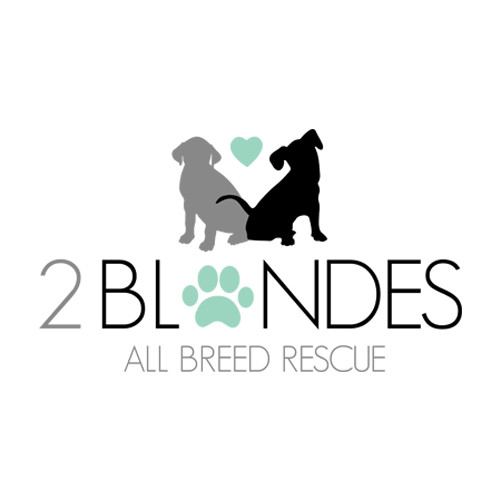 Pets for Adoption at 2 Blondes All Breed Rescue, in Littleton, CO