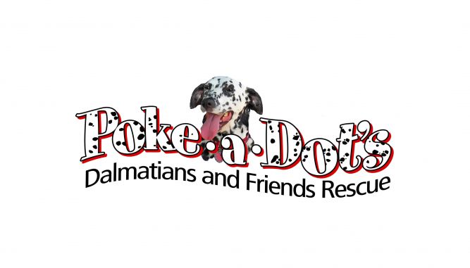 Poke-A-Dot's Dalmatian's and Friends Rescue
