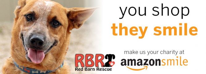 Red Barn Rescue