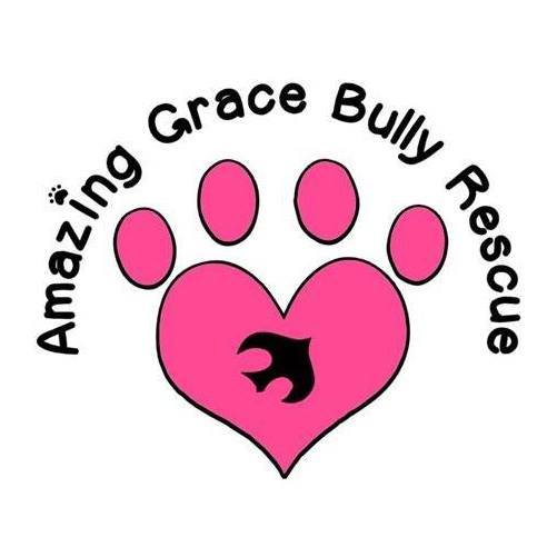 Amazing Grace Bully Rescue