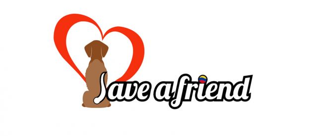 Save a Friend Dog Rescue Ontario