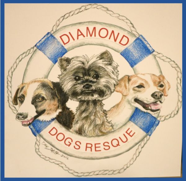 Diamond Dogs Rescue