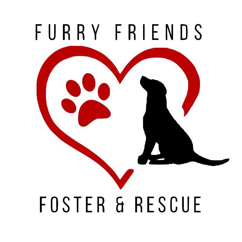 Furry Friends Foster and Rescue, Inc 